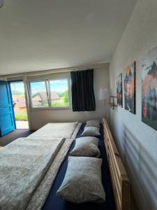 Sonniges Studio mit Aussicht