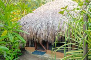 Jungle Hut near Beach - Nature Lovers
