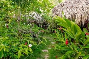 Jungle Hut near Beach - Nature Lovers