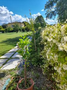 Grancia di Matilde B&B