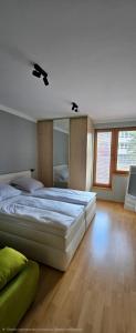 Apartmán Olbrachtova