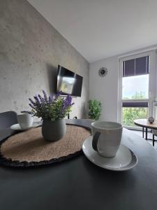 Sola Apartament