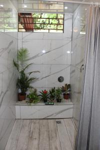 Bob Marley Room