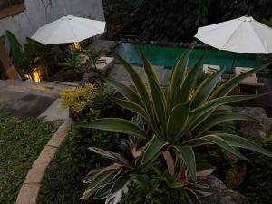 Ubud Suite Home