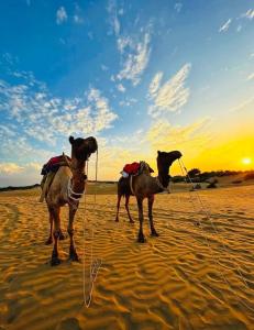 Desert Island Luxury Camp & Resort Jaisalmer