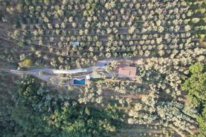 Private Casale with infinity pool in olive grove