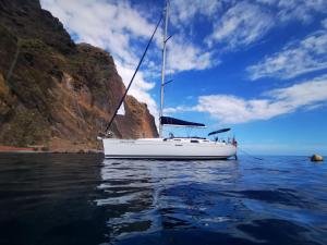GreenStorm Yacht Rental