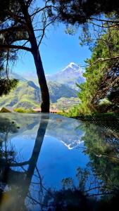 Elia Hut Kazbegi