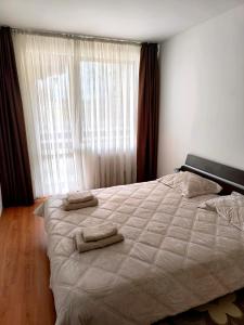 Belvedere apartment H104