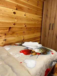 Mountain House 22
