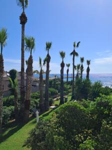 La Casetta del Borgo Marinaro
