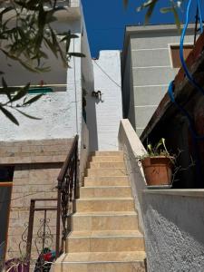 Aranit Guest House
