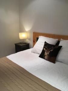 Hotels O Lodge : photos des chambres