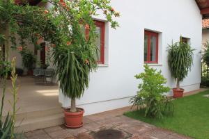 Boulevard Garden House - Free and save parking in the locked yard Free wi-fi