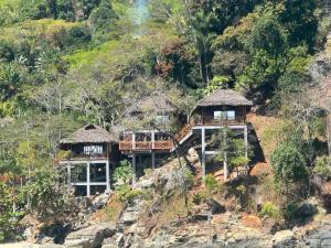 Diana Lodge