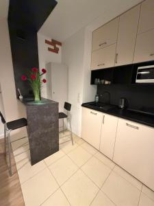 Apartamenty Cicha Przystan Centrum Mała Sienkiewicza