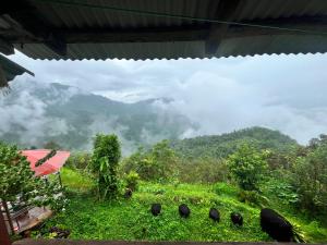 Moktan Homestay by Addapahar