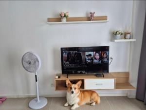 Căn hộ Diamond Island Luxury Apartment