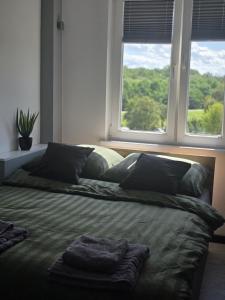 Sola Apartament