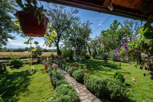 Apartman Dača Banja Ždrelo
