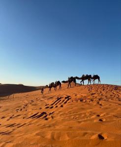 Merzouga Rainbow Luxury Camps