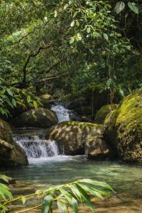 Refugio La Tángara del Río