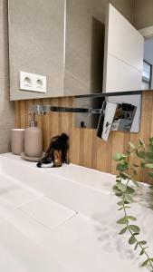 Hermandad Urban Loft B