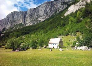 The Nest Komarnica - Handmade Mountain Domes
