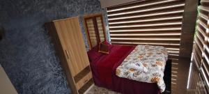 Dream inn family homestay