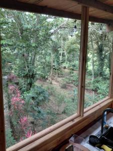 Eden Jungle Lodge