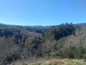 Rincón de la Piedra a 15 minutos de Valdivia
