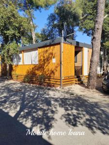 Mobile Home Ivana
