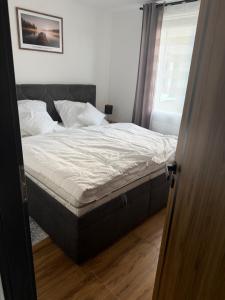 Apartments Brdy