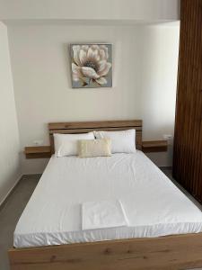 paloma suites