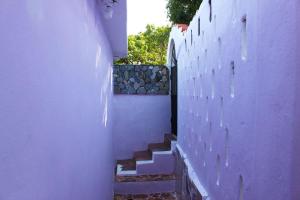 Naomy house