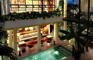 Tropical City Oasis
