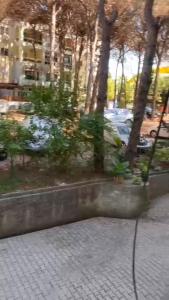 SQ Guest House