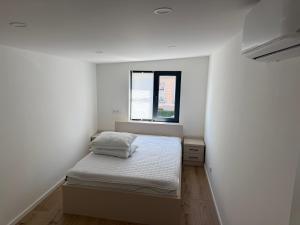 Casa Darius