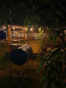Mysoul The Hostel