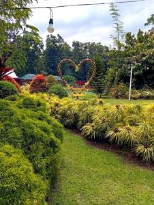 Ella Garden Resort