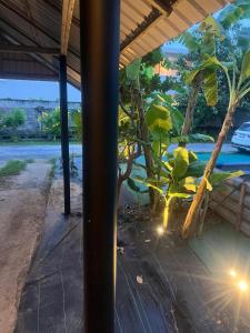 Gaia Home Retreat