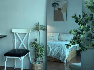 Solis Homestay