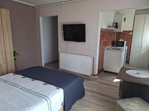 Studio Ultracentral cu balcon