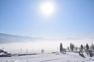 Togari Onsen Alpen Plaza
