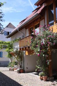 Urlaub im Weingut mit Balkon in der Südpfalz