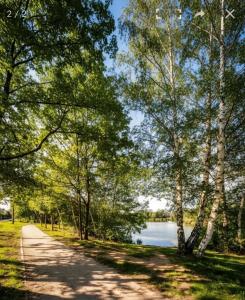 Apartament przy Stawie
