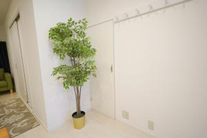 Tsuruhashi 10ppl House 3min-Sta 6min-NambaUSJ mozhaihua
