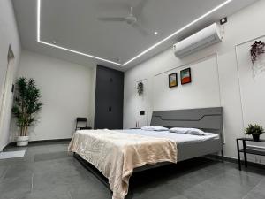 Asco Living Villa
