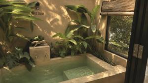 Bocabierta Lakefront Suites Ahangama