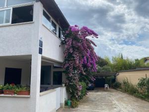 STUDIO LARA, 350m from Lone beach
